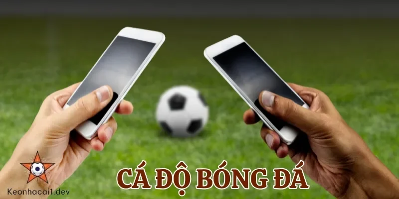 Cá độ bóng đá là hình thức cược thể thao hấp dẫn mọi thành viên tham gia