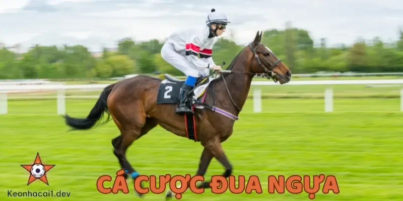 Nhà cái cung cấp đa dạng cược cho người chơi lựa chọn