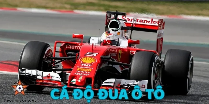 Cá độ đua ô tô là một trong những hình thức cược thể thao cực hấp dẫn