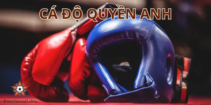 Cá độ Quyền Anh là hình thức cá cược được nhiều cược thủ yêu thích