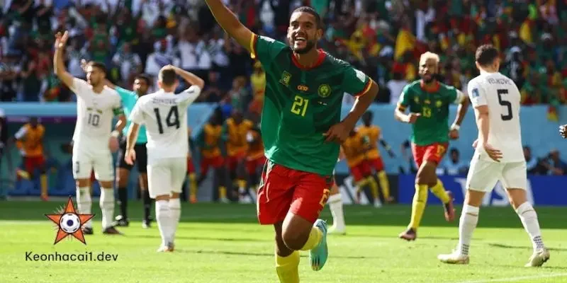 Cấu trúc giải đấu World Cup là gì?