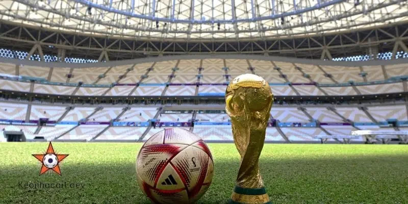 Đấu World Cup là gì?