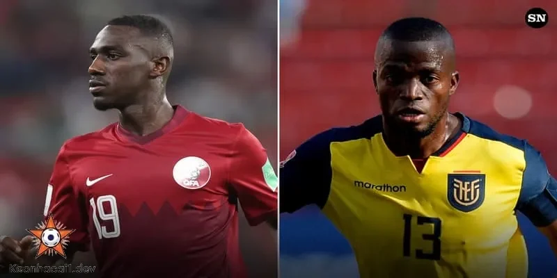 Dự đoán kết quả Qatar vs Ecuador và chiến thuật có thể áp dụng