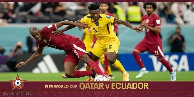 Dự đoán kết quả trận đấu Qatar vs Ecuador và những điểm cần chú ý