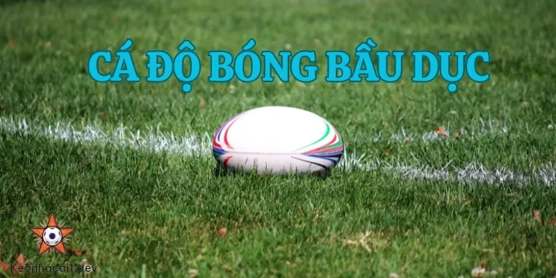 Cá độ bóng bầu dục có tính hấp dẫn và thu hút người chơi bởi tỷ lệ ăn cược cao