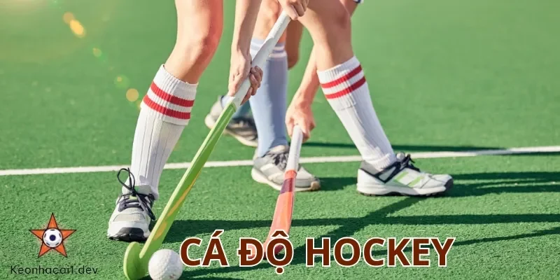 Cá độ Hockey là hình thức cược khúc côn cầu hấp dẫn