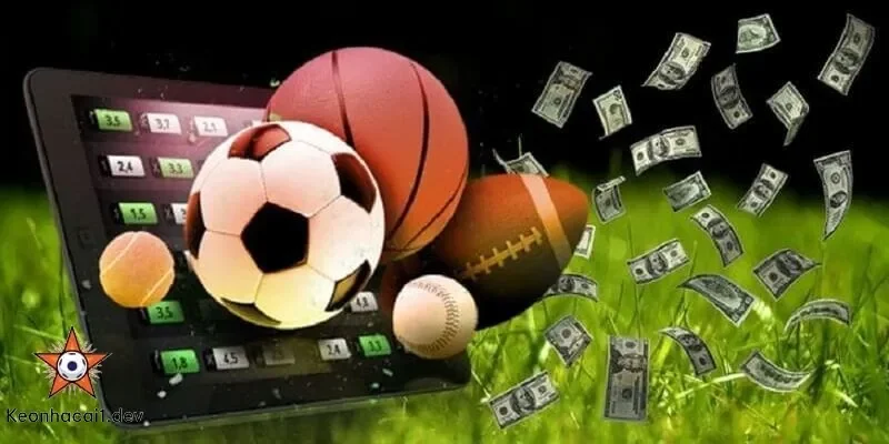 Hướng dẫn sử dụng Bongdalu để soi kèo và phân tích trận đấu hiệu quả