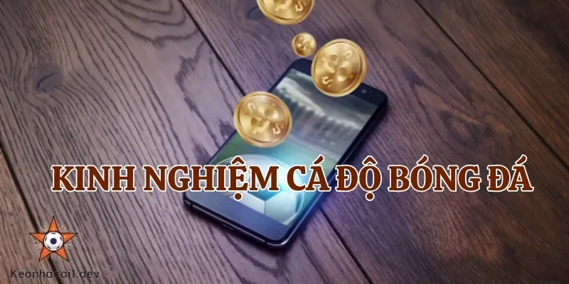 Tham khảo chiến lược chơi cá cược bóng đá để tăng cơ hội thắng cược dễ dàng hơn